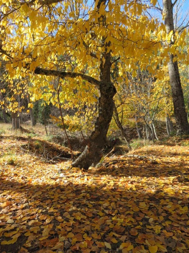 Alojamiento Yolanda Cazorla Dış mekan fotoğraf